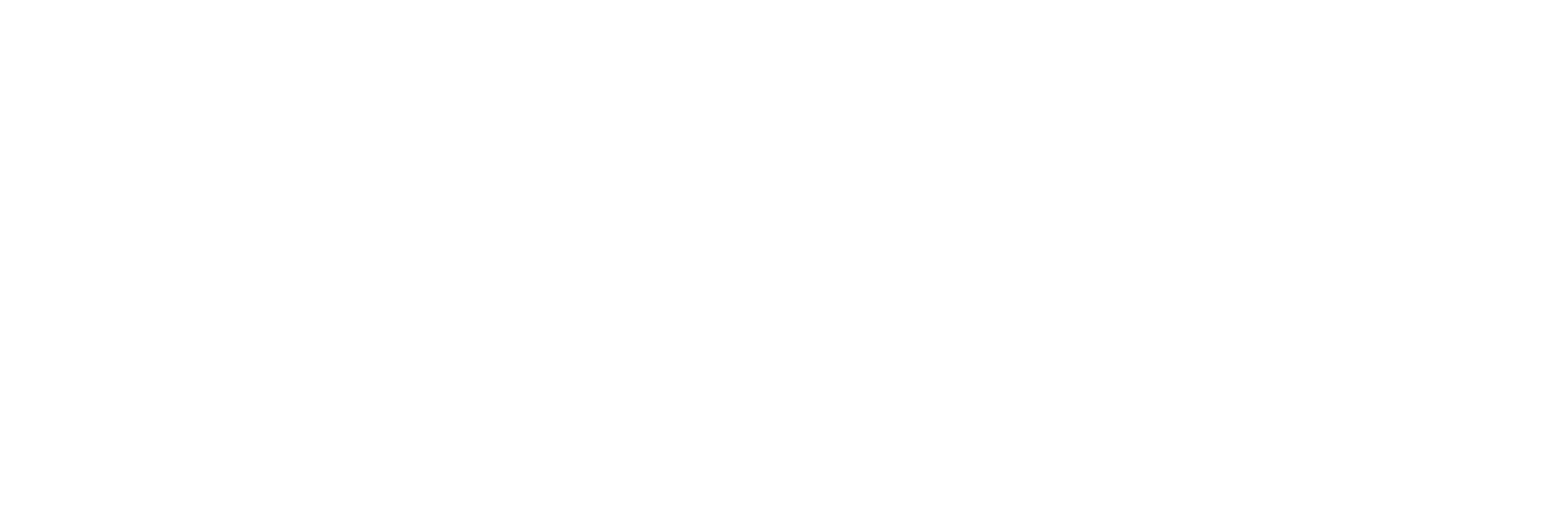Dr. Frank Aryan